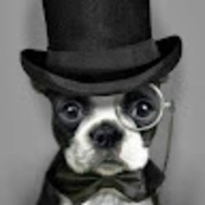 Meet your Posher, Larry